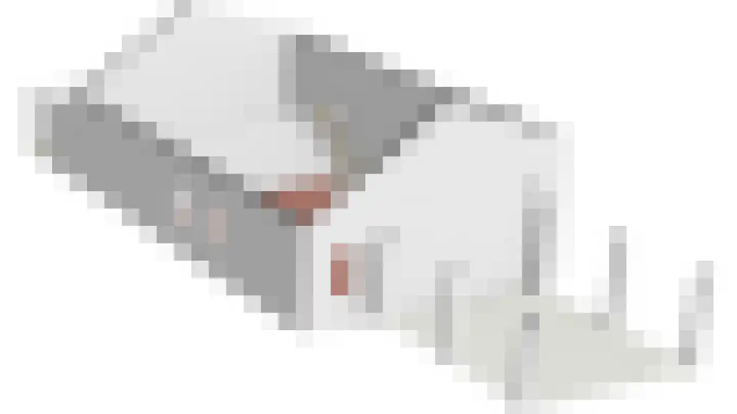 Bannerschultestraat 42 Sleen thumbnail 66