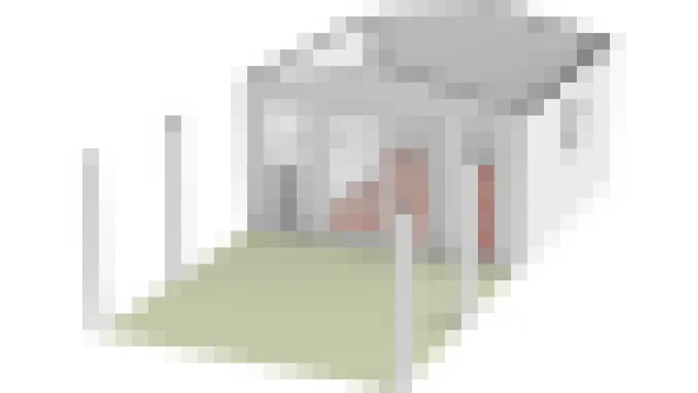 Bannerschultestraat 42 Sleen thumbnail 70