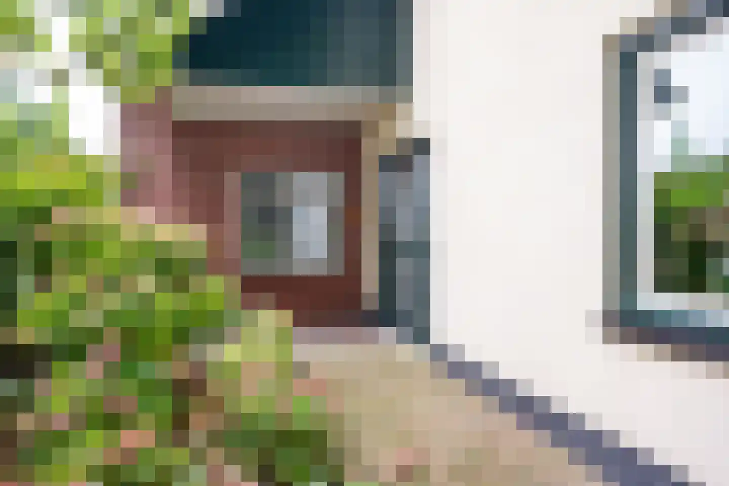 Bannerschultestraat 42 Sleen thumbnail 8