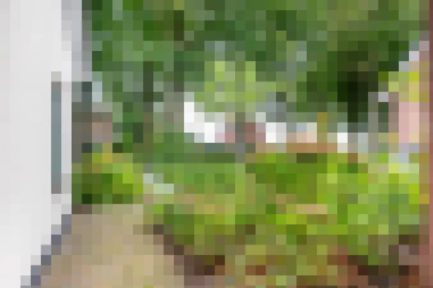 Bannerschultestraat 42 Sleen thumbnail 9