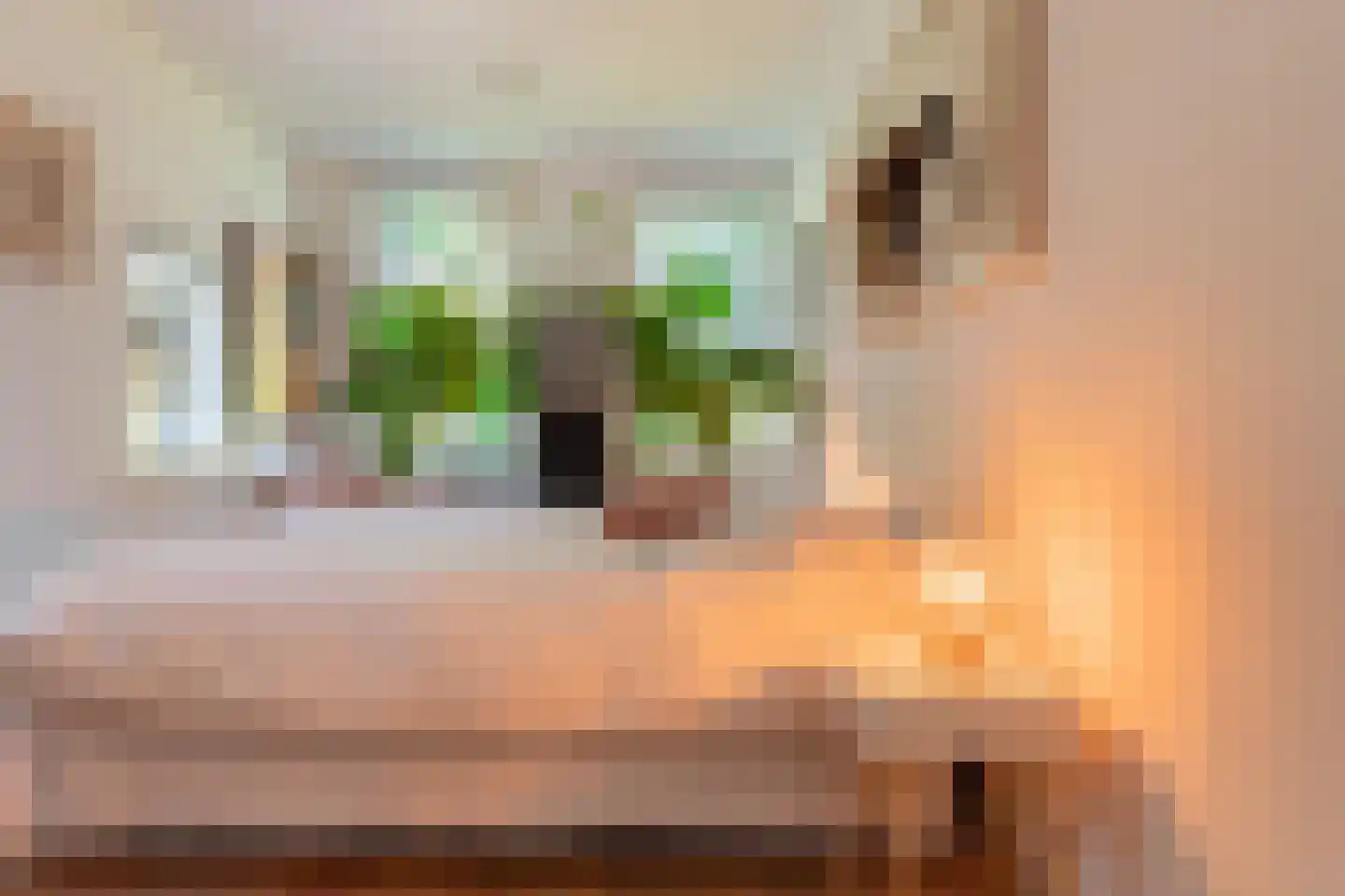 Bannerschultestraat 6 Sleen thumbnail 10