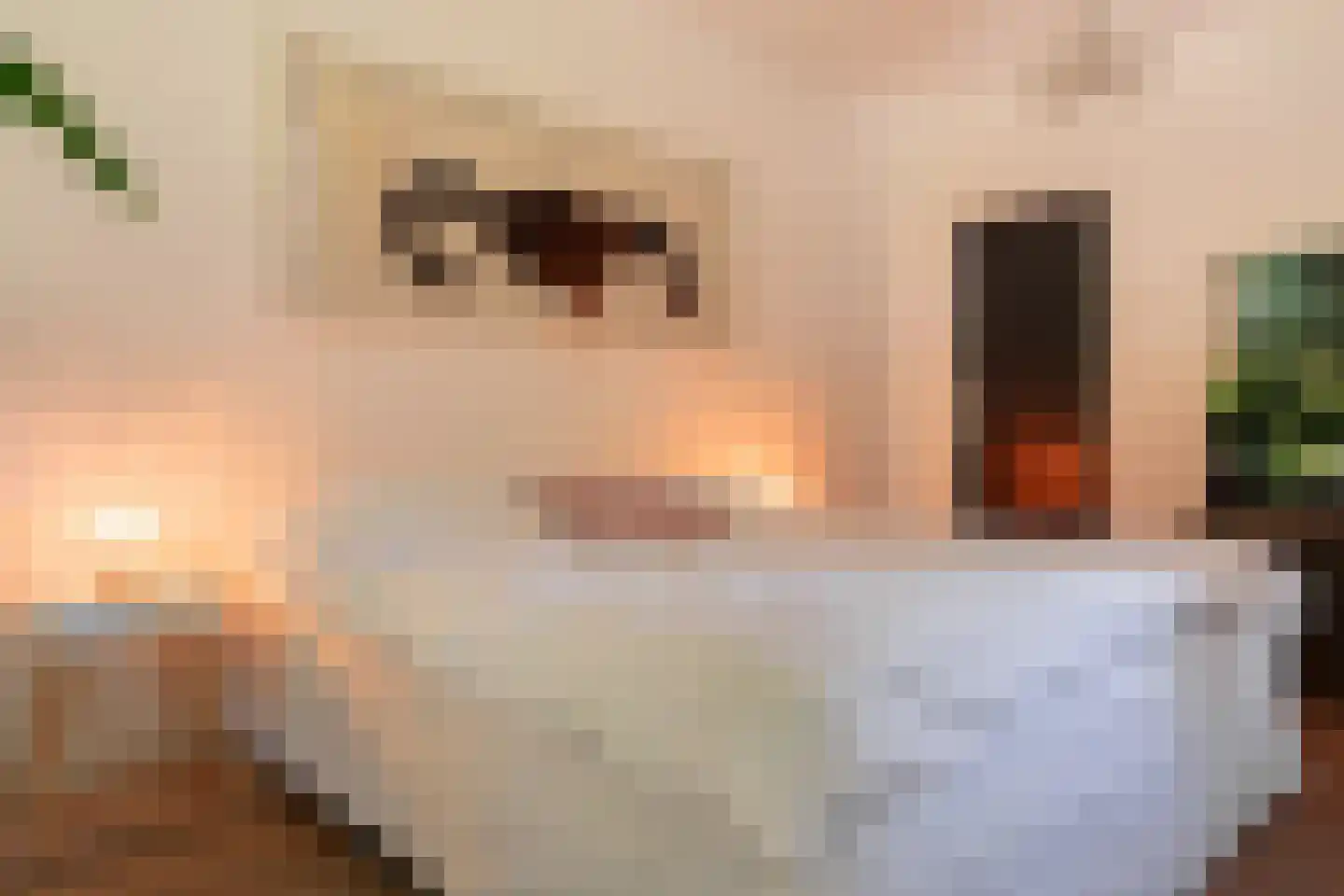 Bannerschultestraat 6 Sleen thumbnail 11