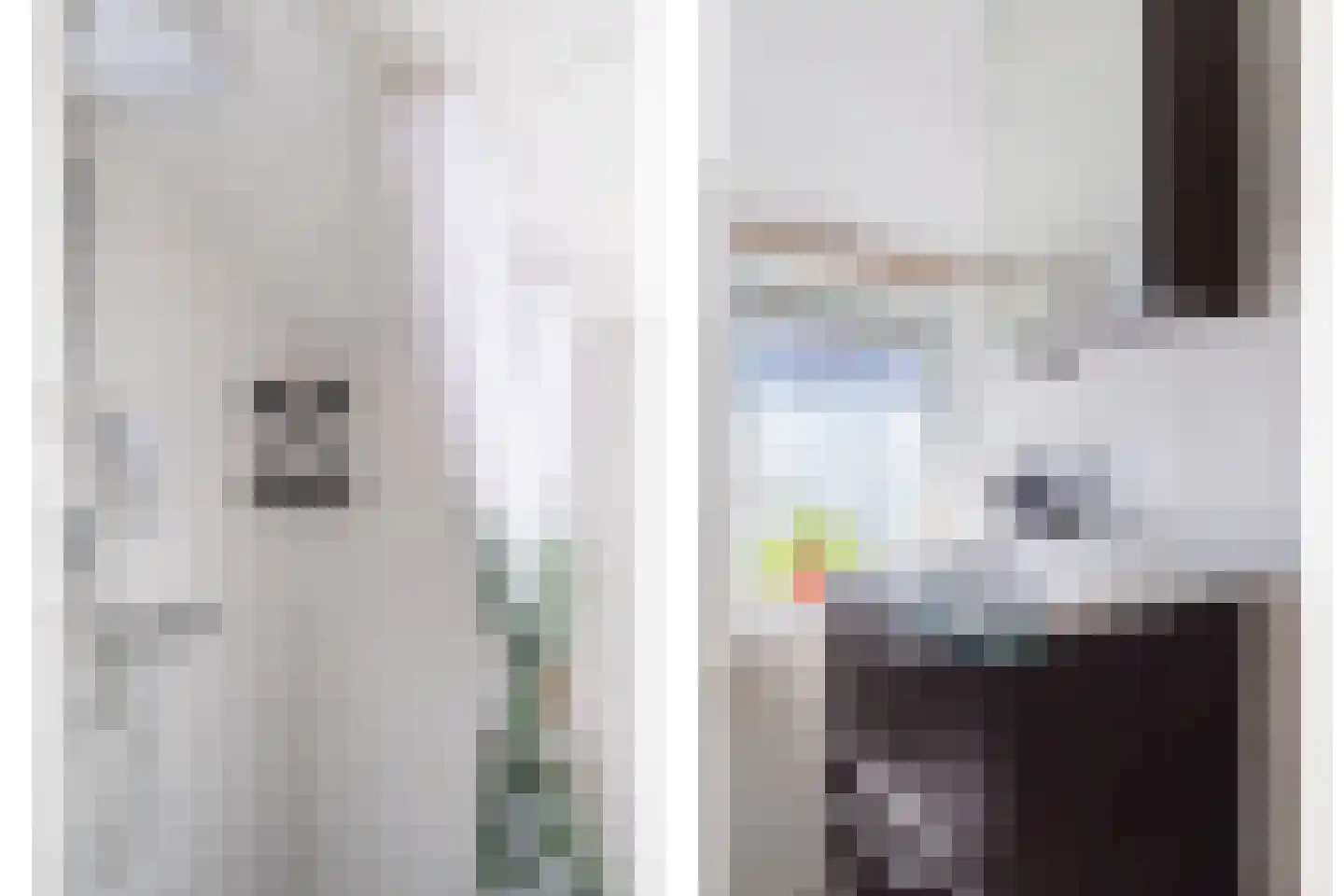 Bannerschultestraat 6 Sleen thumbnail 14