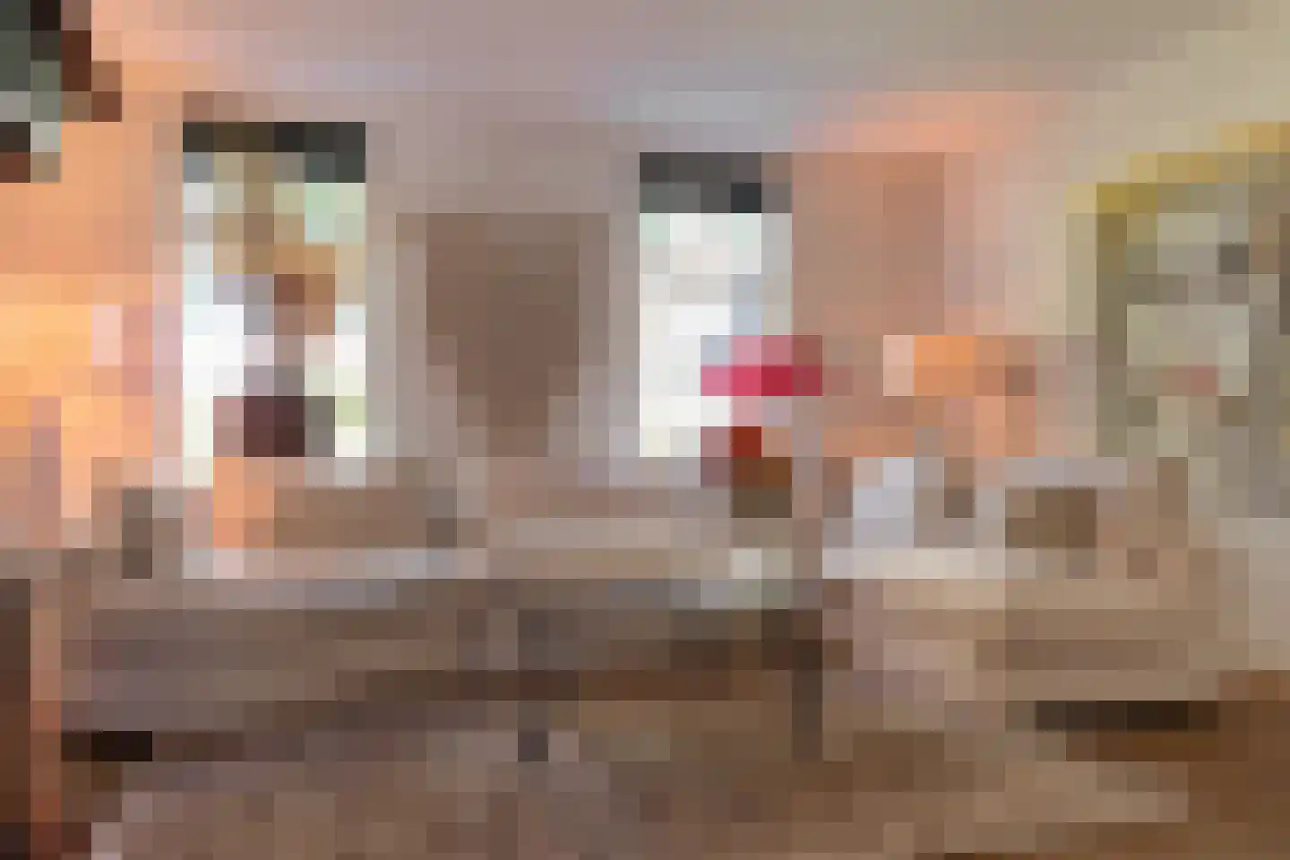 Bannerschultestraat 6 Sleen thumbnail 16