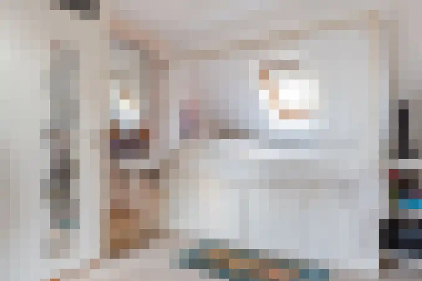 Bannerschultestraat 6 Sleen thumbnail 34