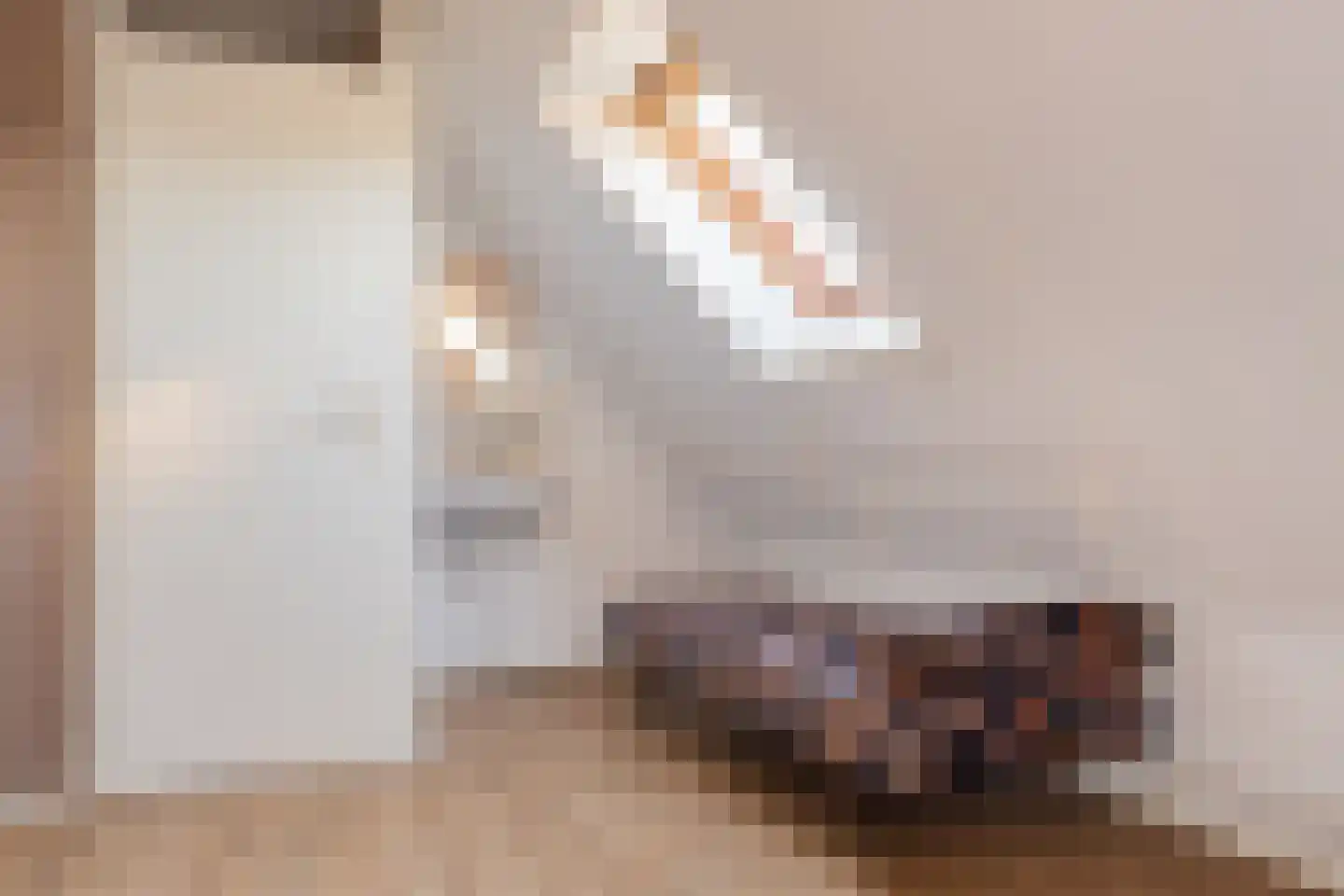 Bannerschultestraat 6 Sleen thumbnail 40