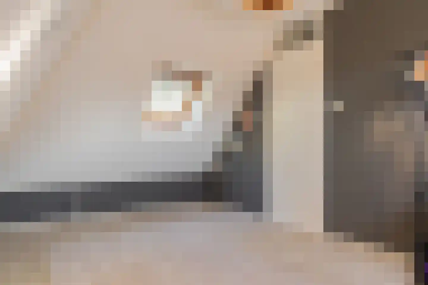 Bannerschultestraat 6 Sleen thumbnail 43