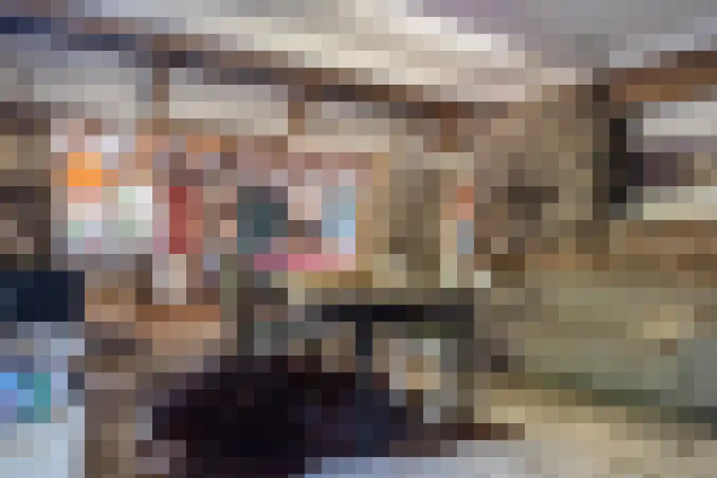 Bannerschultestraat 6 Sleen thumbnail 48