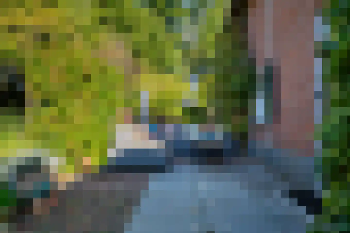 Bannerschultestraat 6 Sleen thumbnail 52