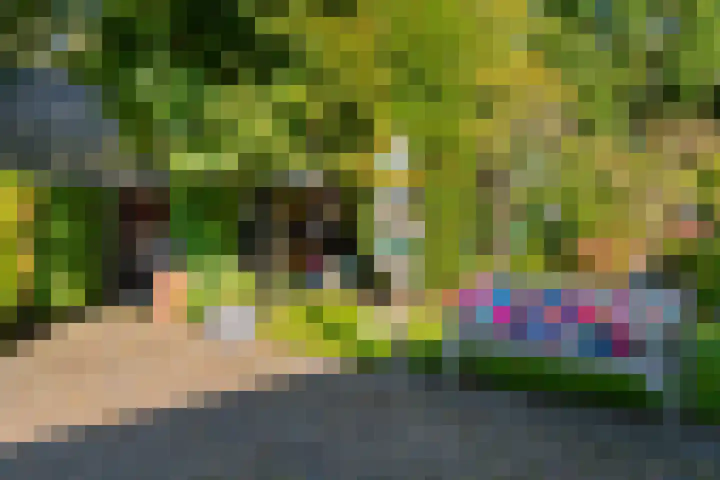 Bannerschultestraat 6 Sleen thumbnail 56