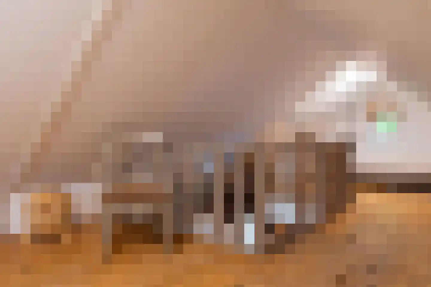 Bannerschultestraat 6 Sleen thumbnail 66