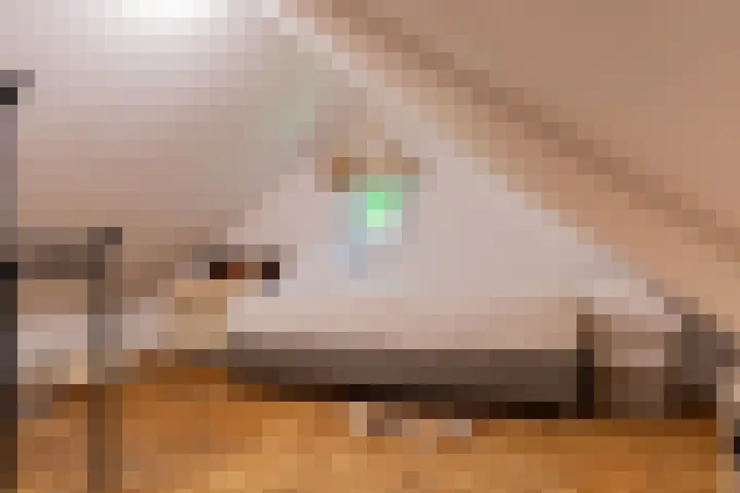 Bannerschultestraat 6 Sleen thumbnail 67