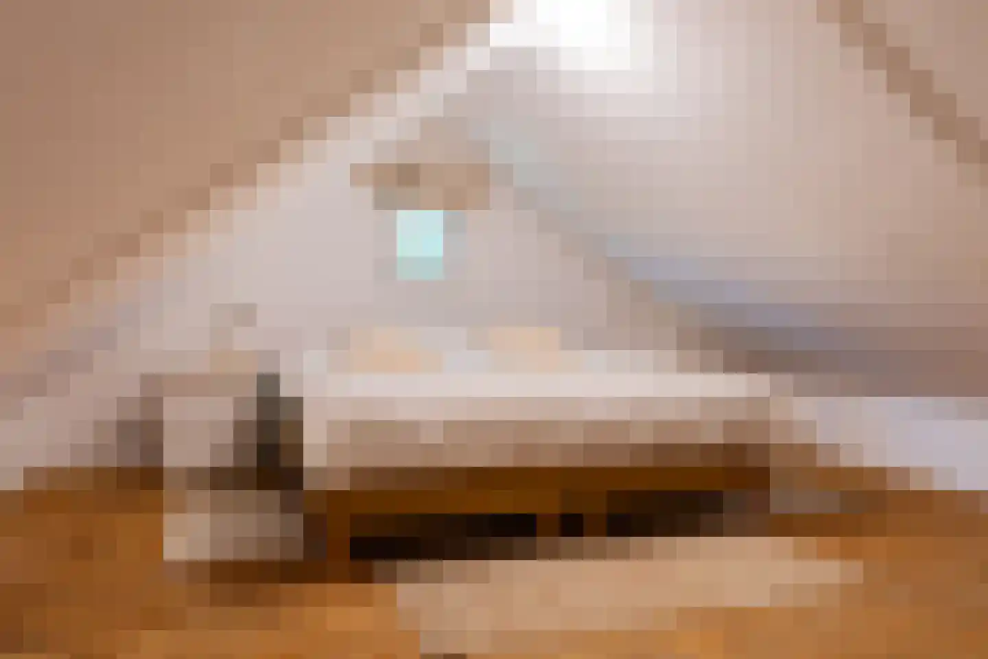 Bannerschultestraat 6 Sleen thumbnail 68