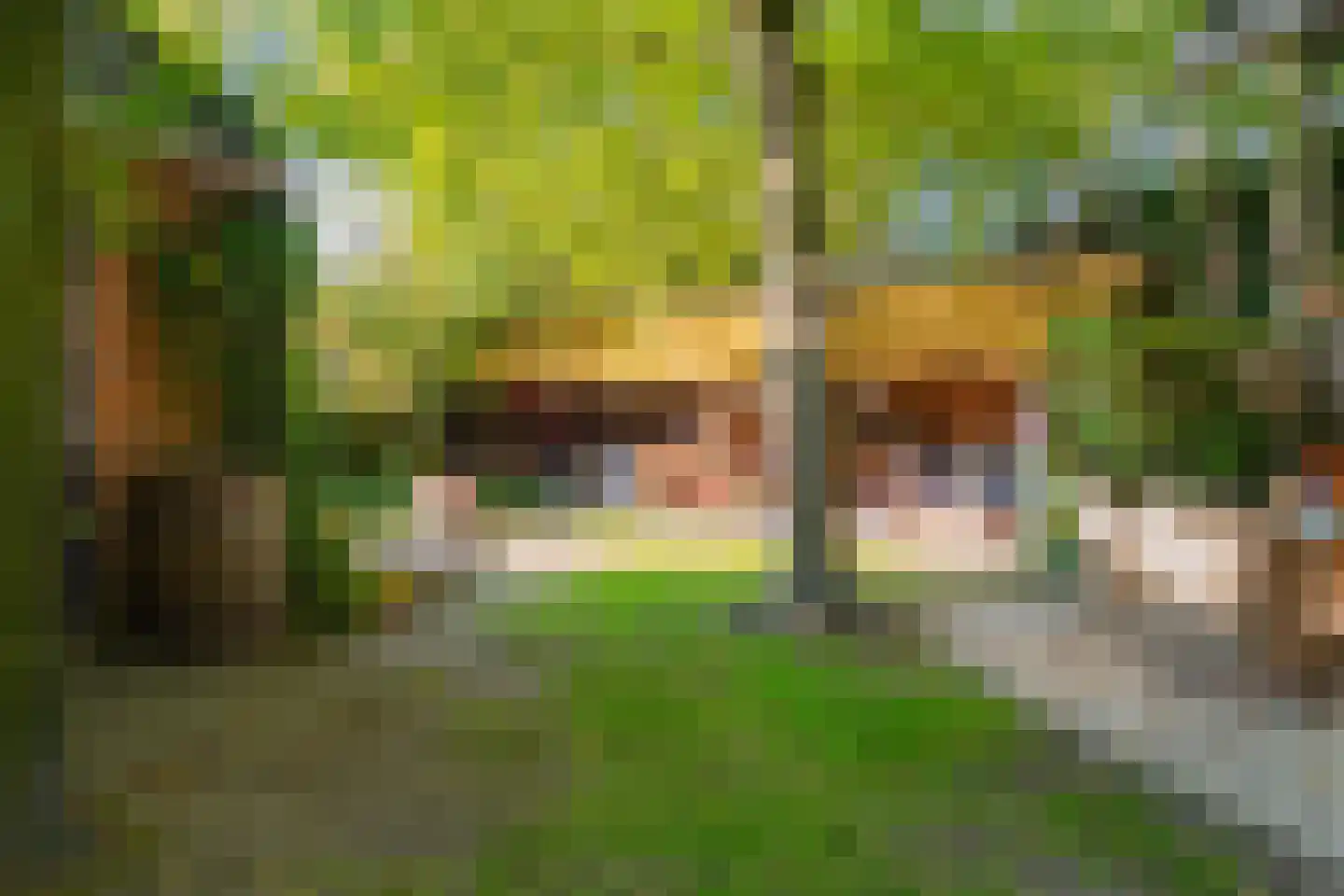 Bannerschultestraat 6 Sleen thumbnail 69