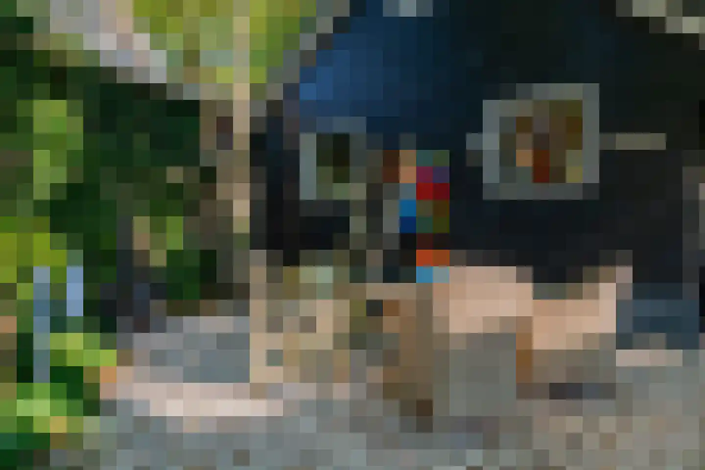 Bannerschultestraat 6 Sleen thumbnail 72