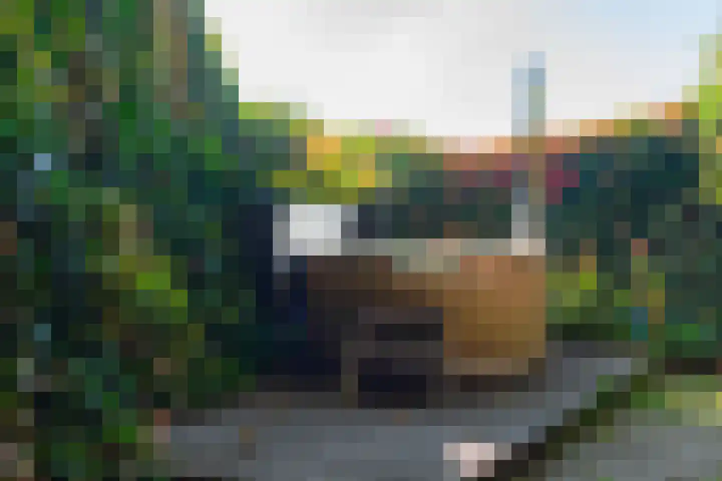 Bannerschultestraat 6 Sleen thumbnail 73