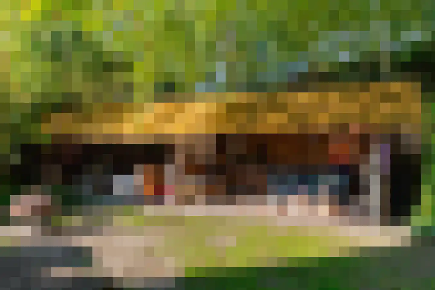 Bannerschultestraat 6 Sleen thumbnail 74