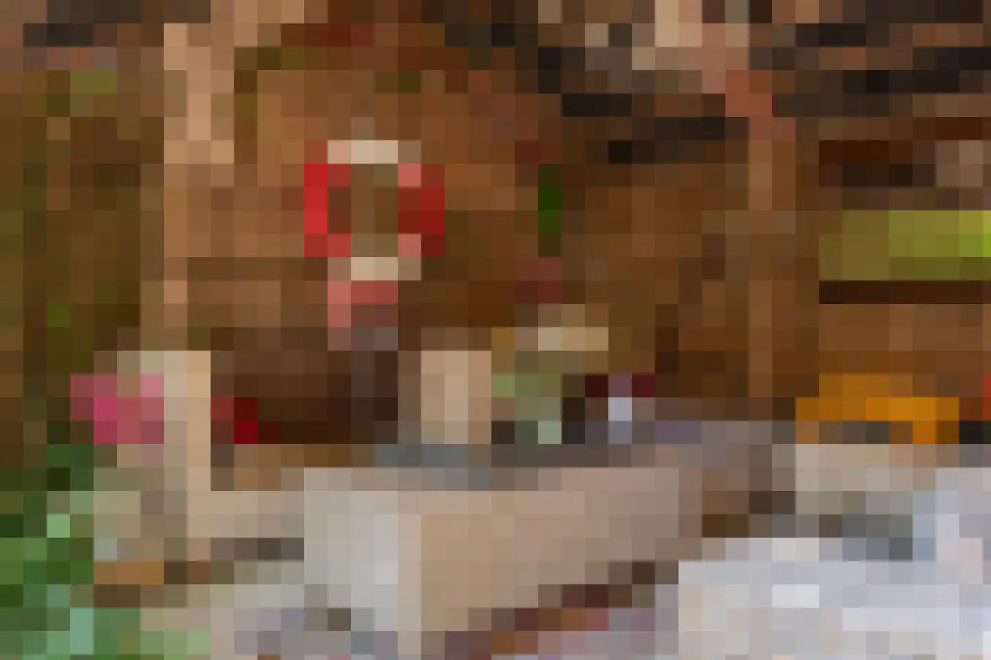 Bannerschultestraat 6 Sleen thumbnail 77