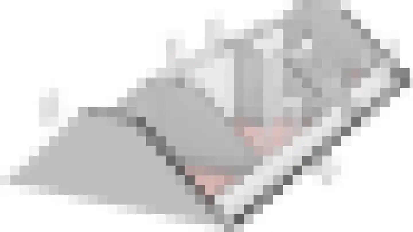 Bannerschultestraat 6 Sleen thumbnail 81