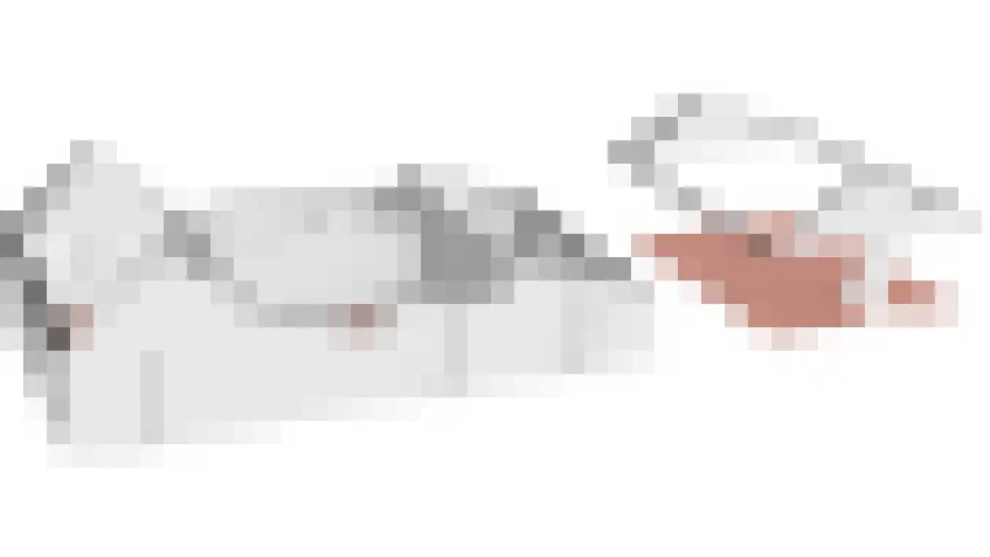 Bannerschultestraat 6 Sleen thumbnail 85