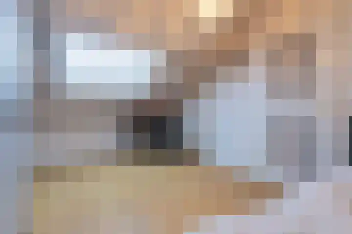 Bannestraat 41 Wervershoof thumbnail 41