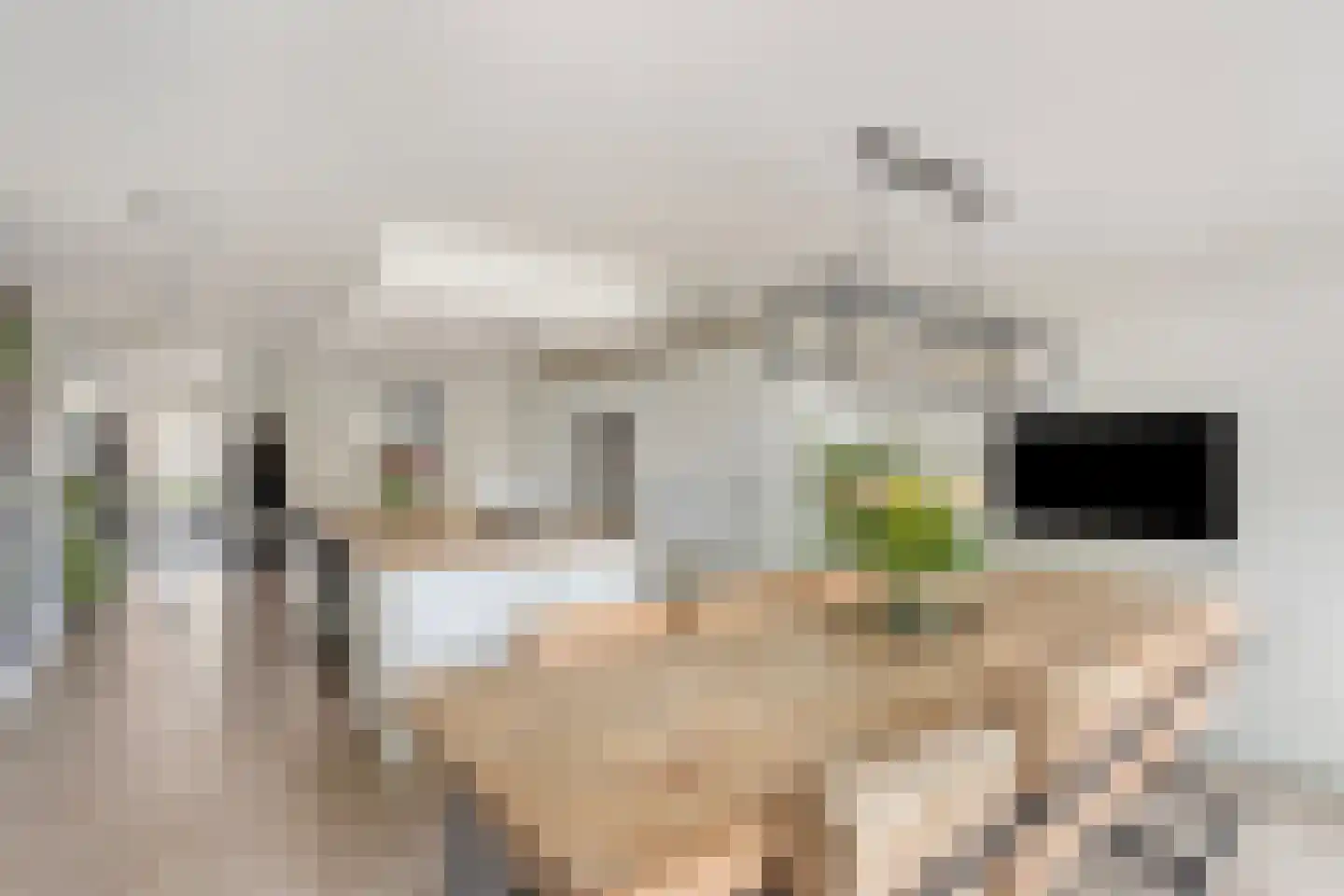 Bannewaard 60 Alkmaar thumbnail 10