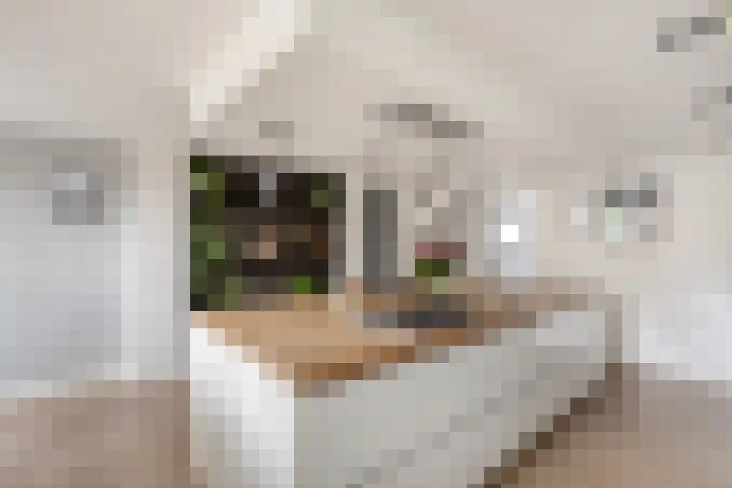 Bannewaard 60 Alkmaar thumbnail 12