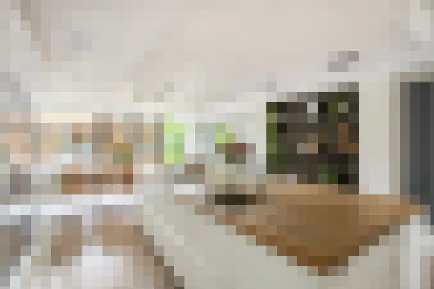 Bannewaard 60 Alkmaar thumbnail 13