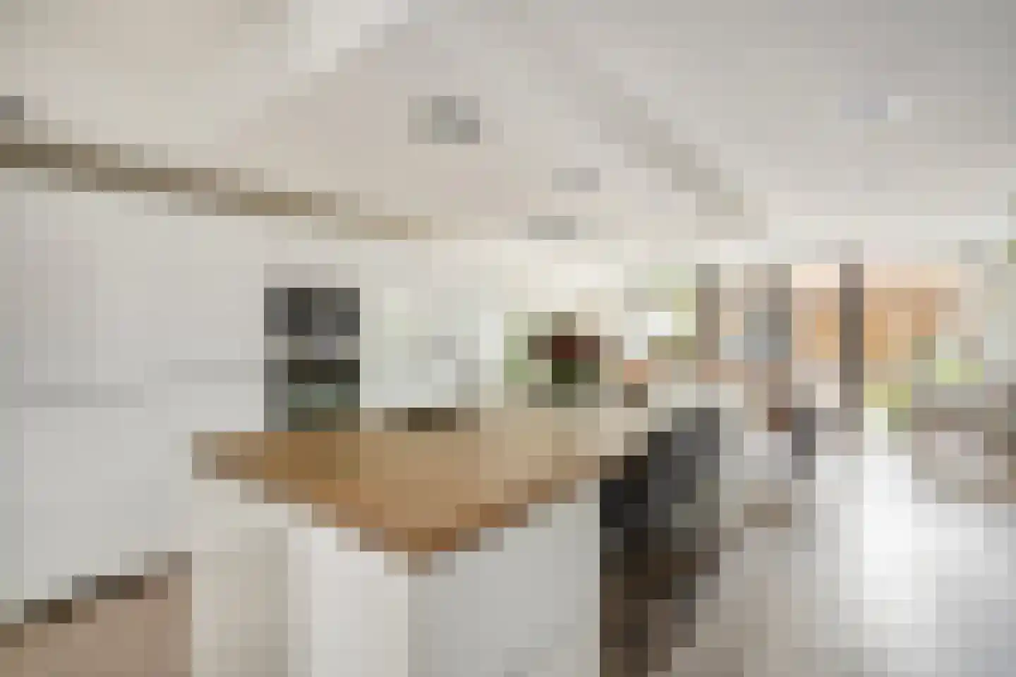 Bannewaard 60 Alkmaar thumbnail 14