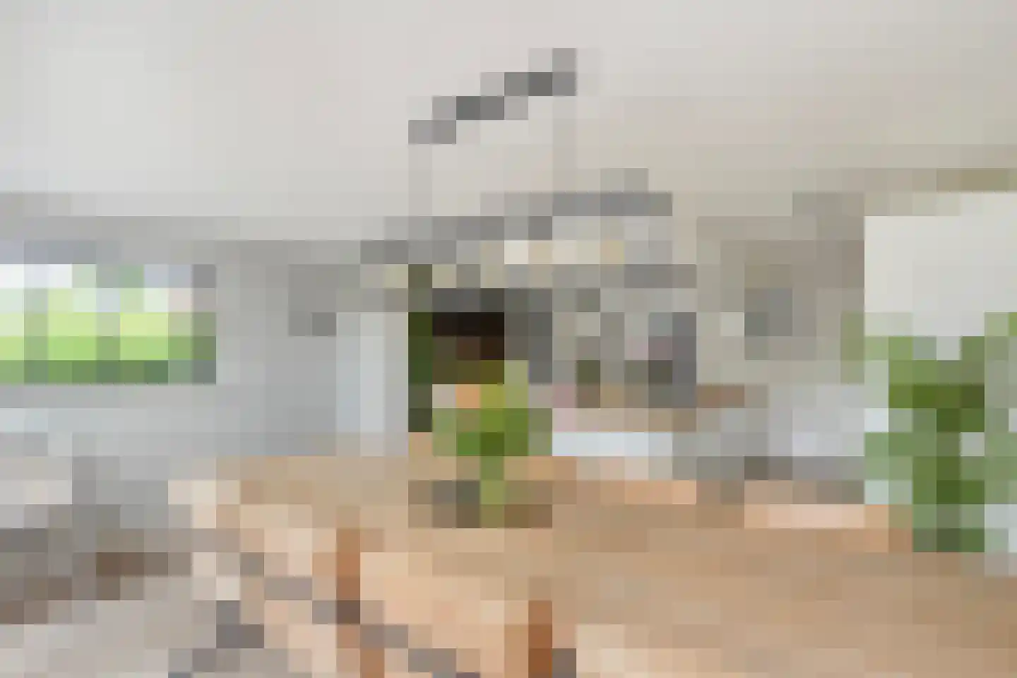 Bannewaard 60 Alkmaar thumbnail 15