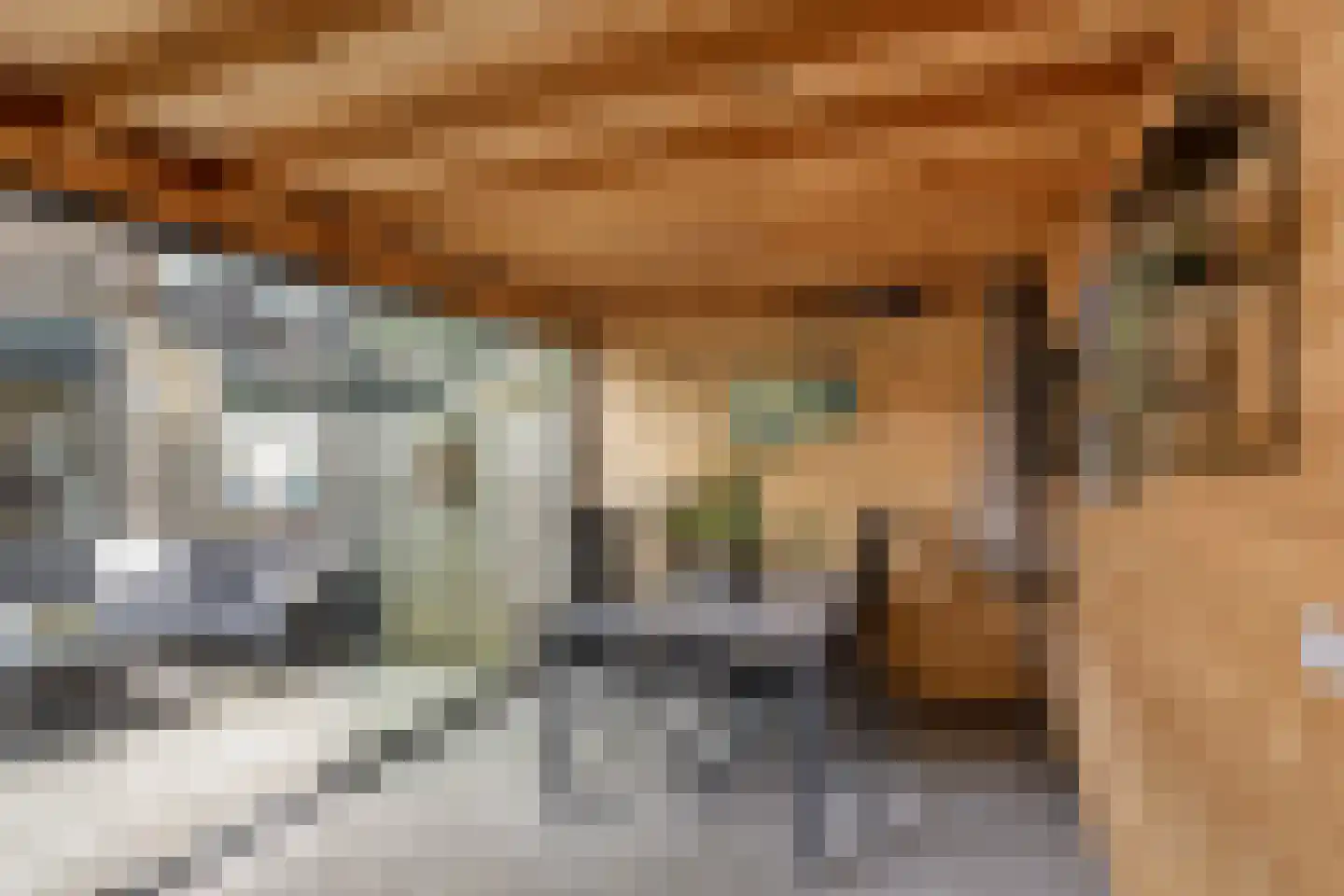 Bannewaard 60 Alkmaar thumbnail 21