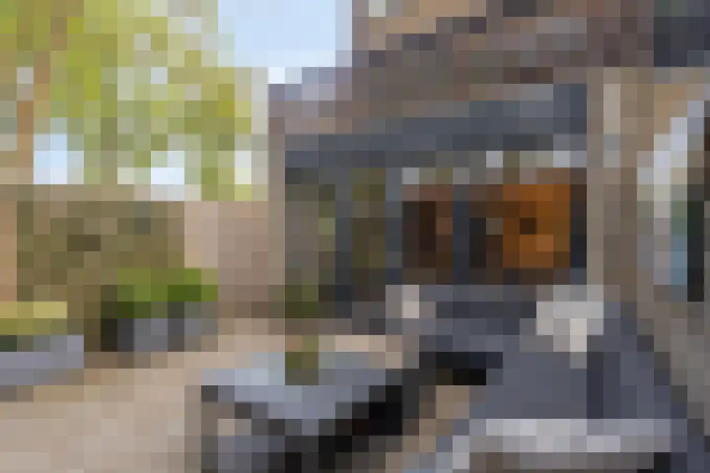 Bannewaard 60 Alkmaar thumbnail 22