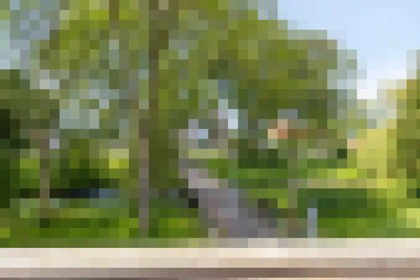 Bannewaard 60 Alkmaar thumbnail 30