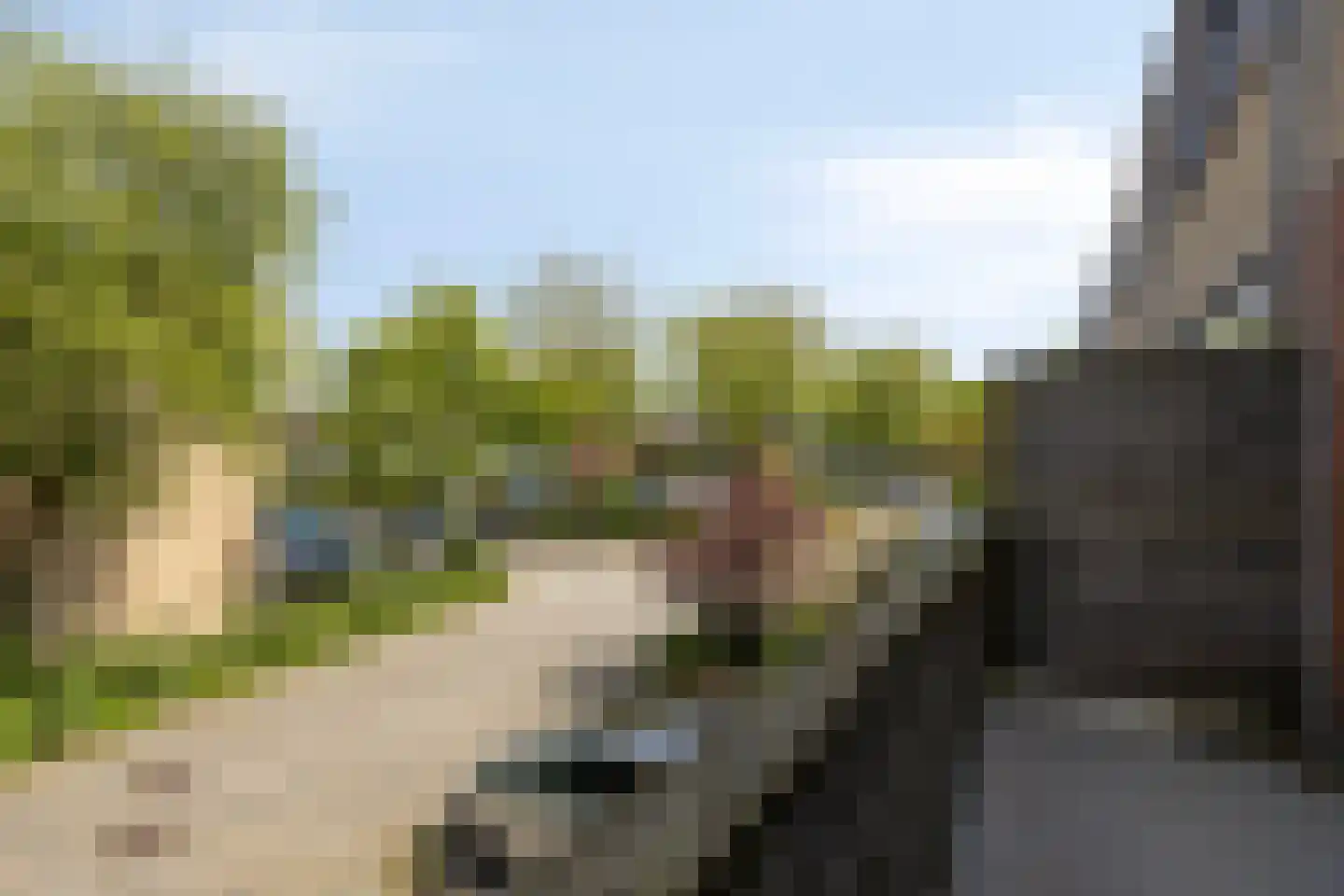 Bannewaard 60 Alkmaar thumbnail 38