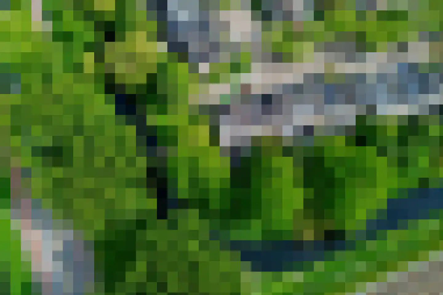 Bannewaard 60 Alkmaar thumbnail 4