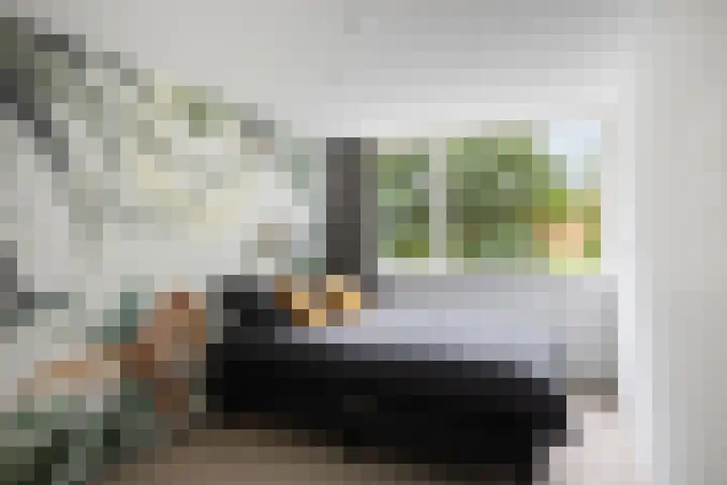 Bannewaard 60 Alkmaar thumbnail 46