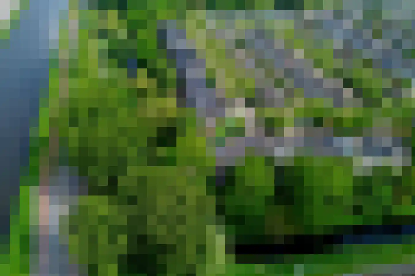 Bannewaard 60 Alkmaar thumbnail 5