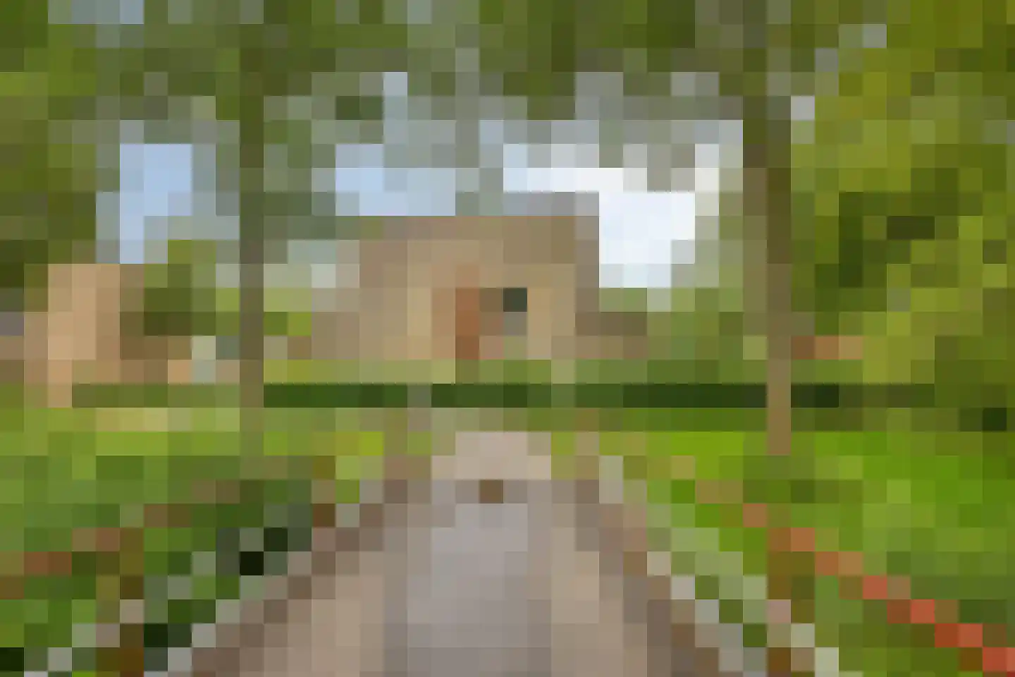 Bannewaard 60 Alkmaar thumbnail 59