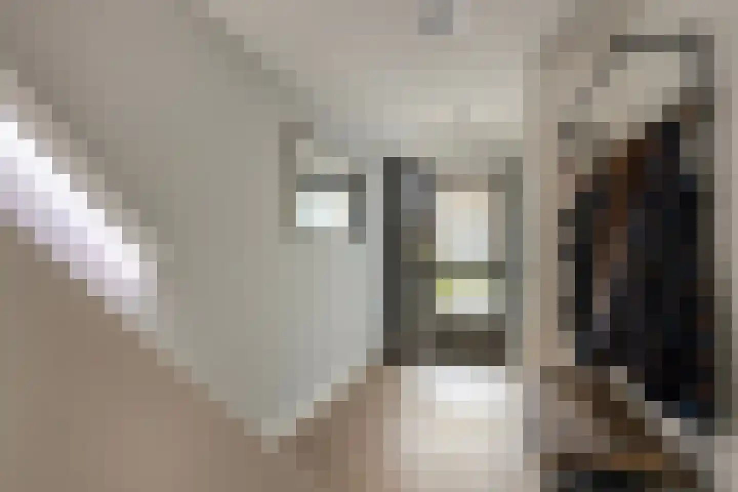 Bannewaard 60 Alkmaar thumbnail 8