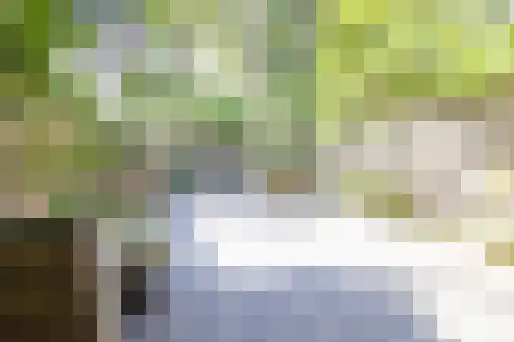 Bannewaard 66 Alkmaar thumbnail 10