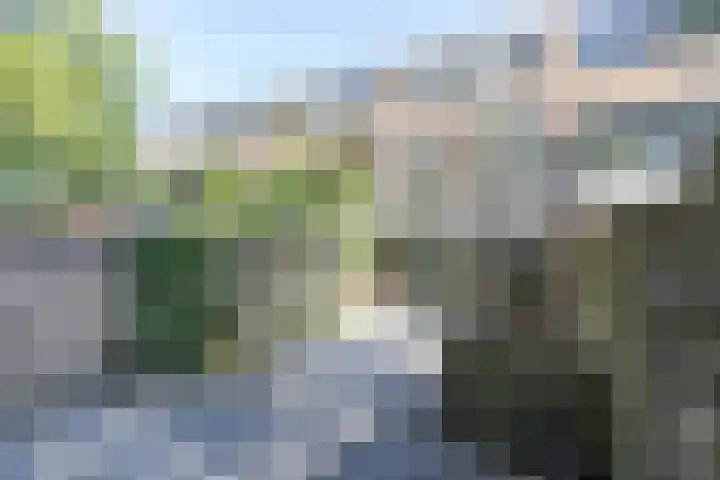 Bannewaard 66 Alkmaar thumbnail 12