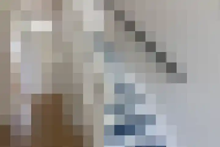 Bannewaard 66 Alkmaar thumbnail 13