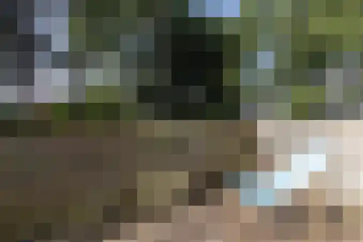 Bannewaard 66 Alkmaar thumbnail 19