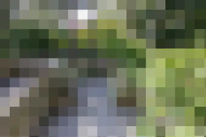 Bannewaard 66 Alkmaar thumbnail 20