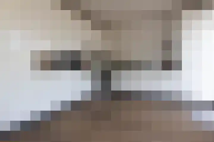 Bannewaard 66 Alkmaar thumbnail 23