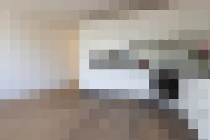 Bannewaard 66 Alkmaar thumbnail 24