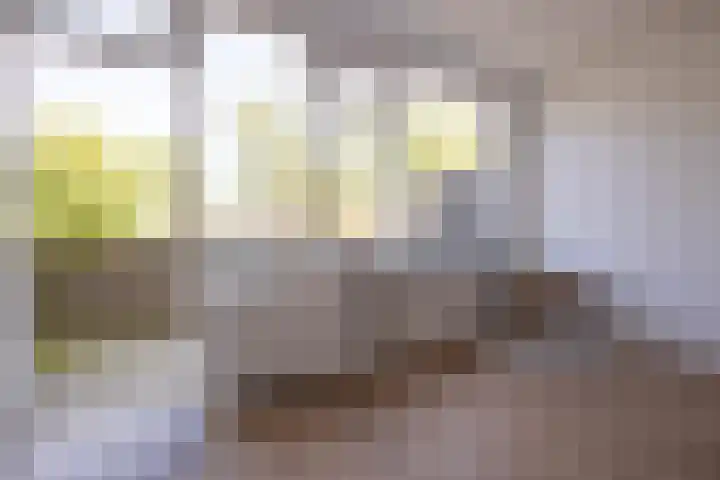 Bannewaard 66 Alkmaar thumbnail 25