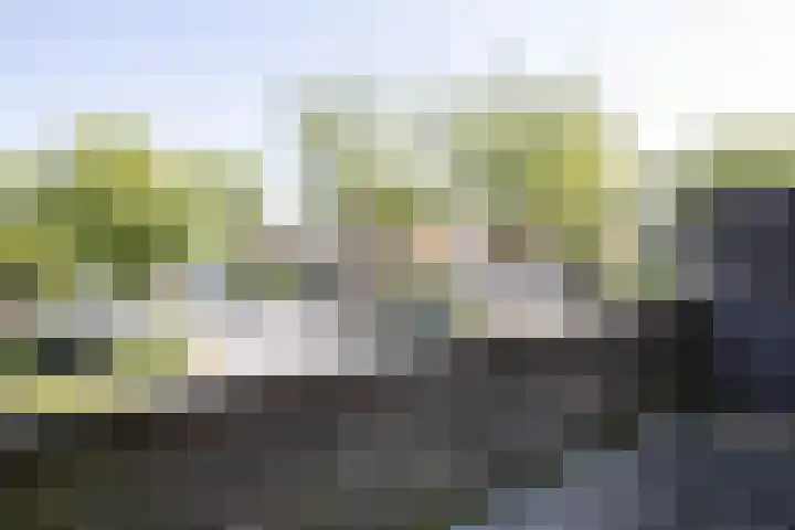 Bannewaard 66 Alkmaar thumbnail 26