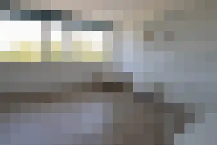 Bannewaard 66 Alkmaar thumbnail 32