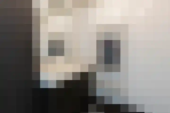 Bannewaard 66 Alkmaar thumbnail 34
